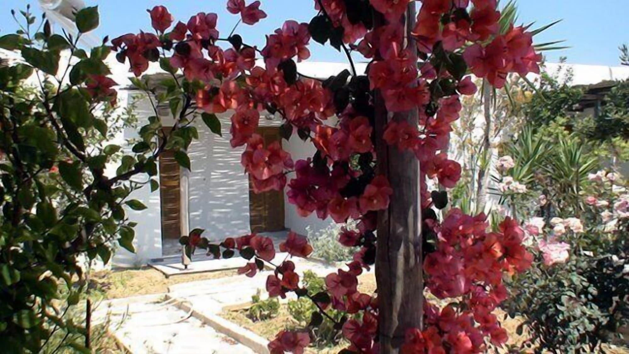 Surfing Village Paros 3*