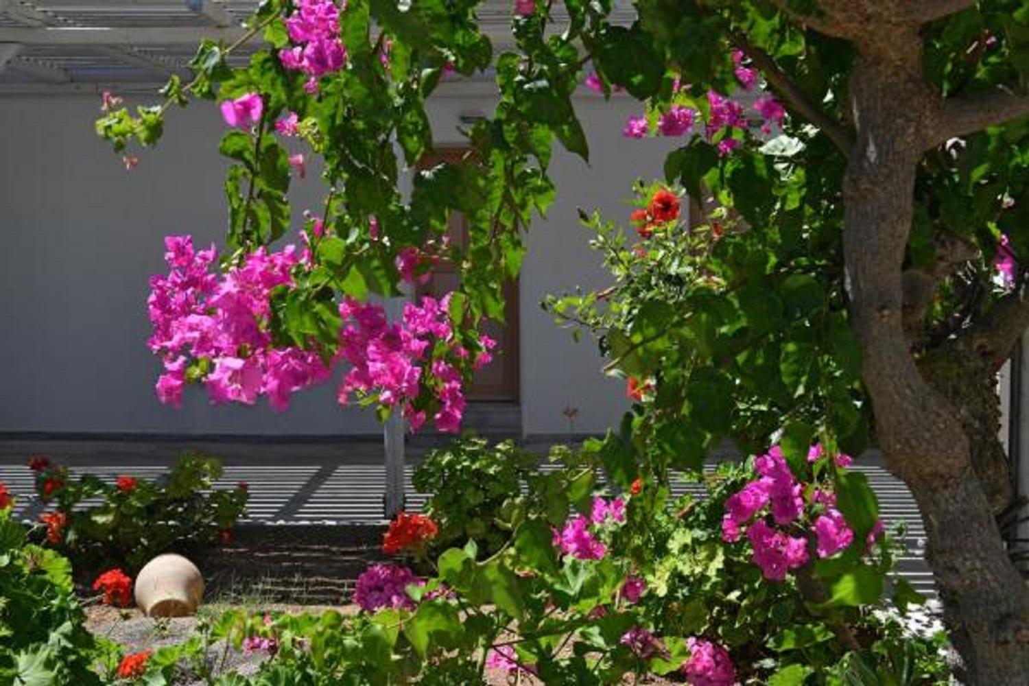 Surfing Village Paros 3*