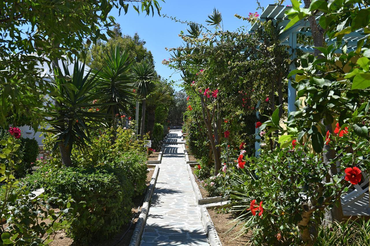 酒店 Surfing Village Paros