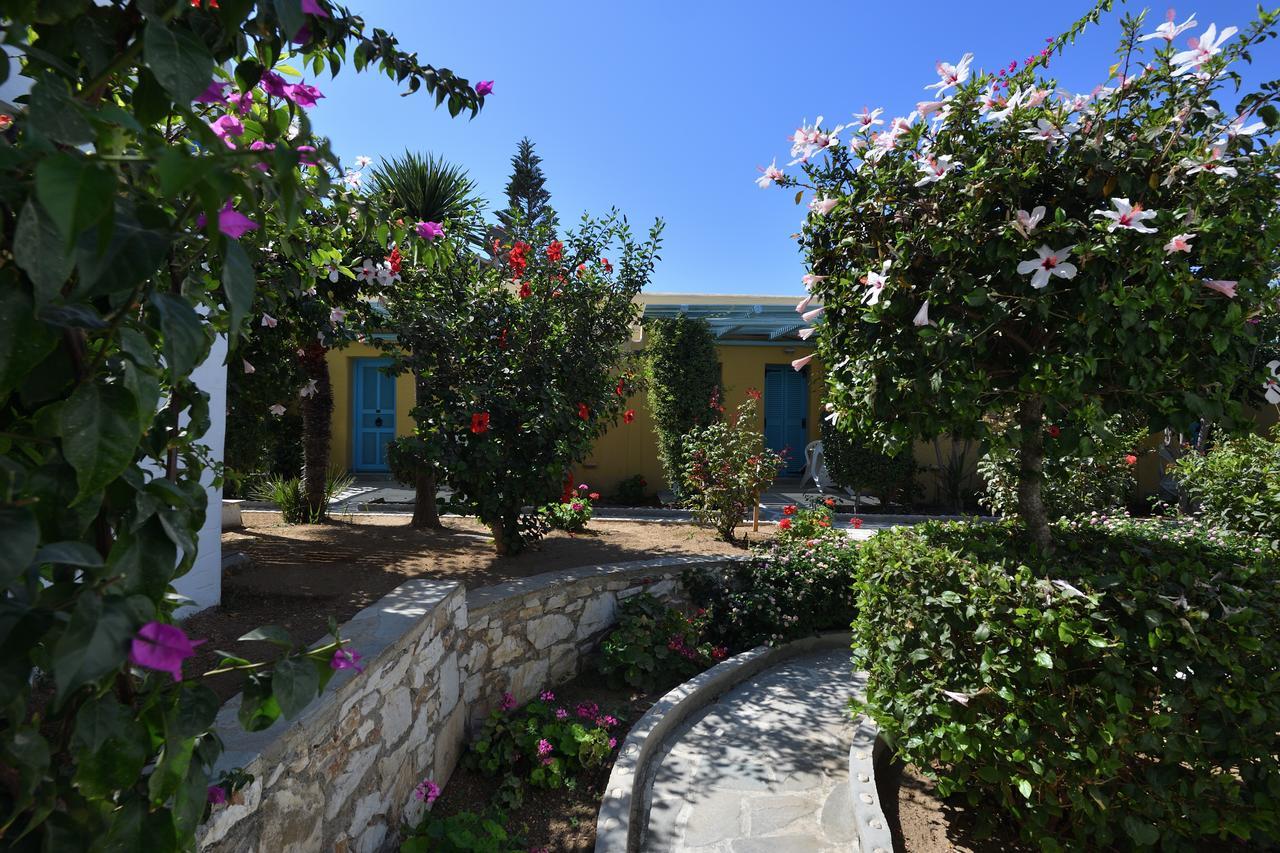 酒店 Surfing Village Paros 3*
