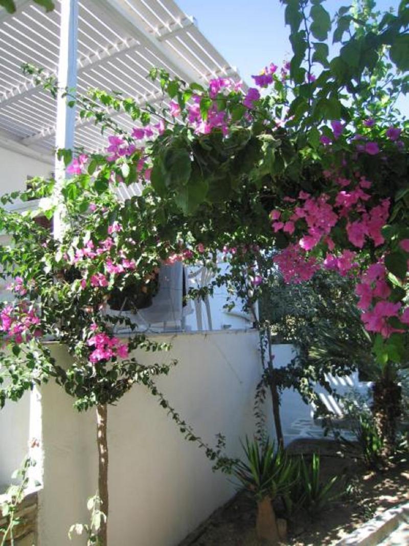 Surfing Village Paros 3*